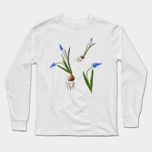 Muscari flowers Long Sleeve T-Shirt